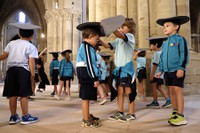 La Seu Vella dansada_6